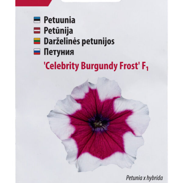 Петуния Celebrity Burgundy Frost F1 30 семян