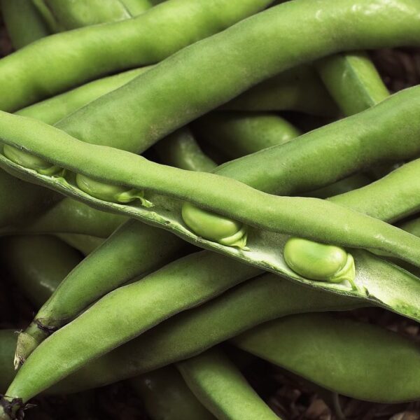 Бобы овощные 30 г Akone