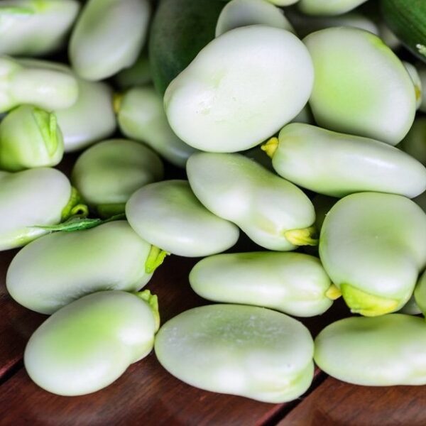 Бобы овощные Windsor Bialy 100 г