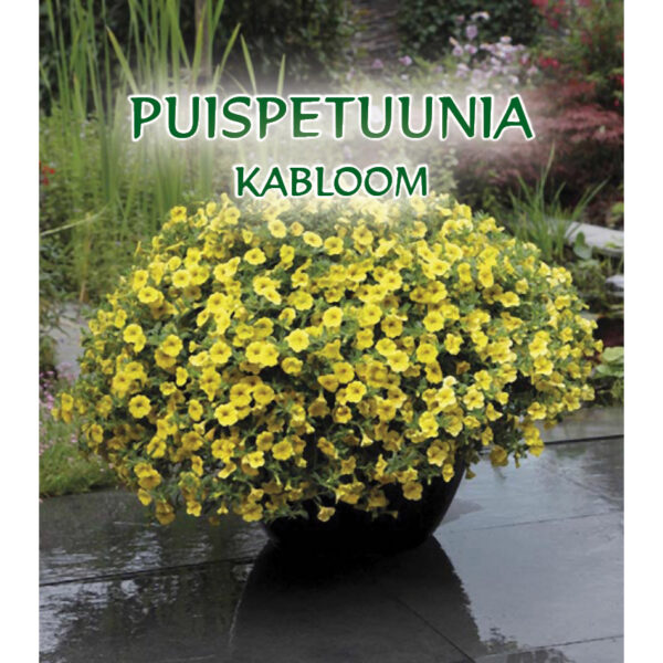 Калибрахоа Kabloom F1 Yellow 10 семян