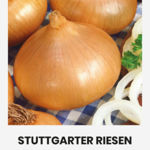 Stuttgarter Riesen 3 г