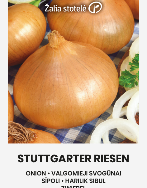 Stuttgarter Riesen 3 г