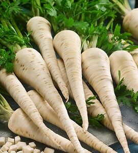 Цикорий Polanowicka 1 г