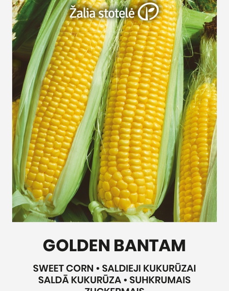 Кукуруза сахарная Golden Bantam 10 г