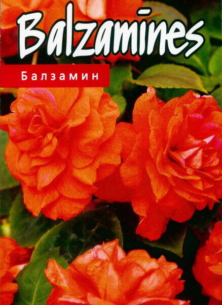 Бальзамин махровый Athena F1 Orange Flash 5 семян