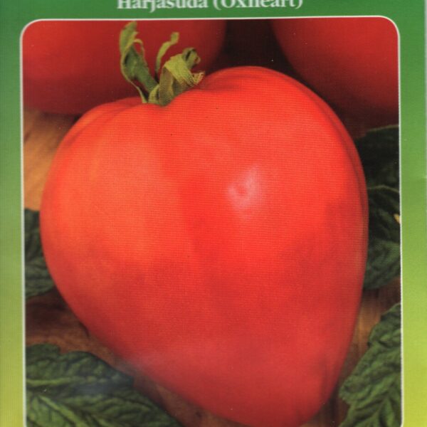 Бычье сердце 0,5 г