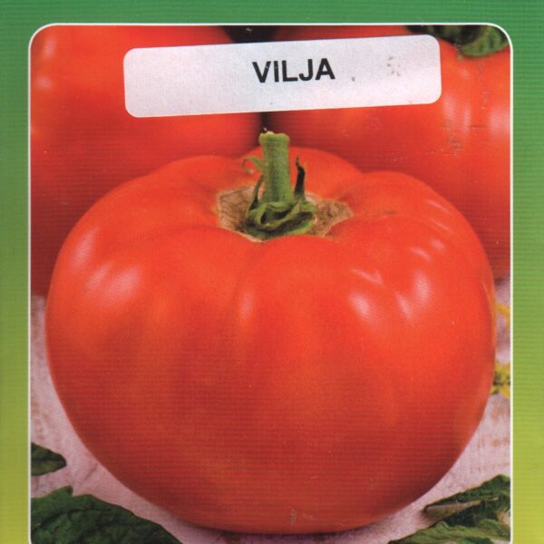 Vilja 0,1 г эстонский сорт