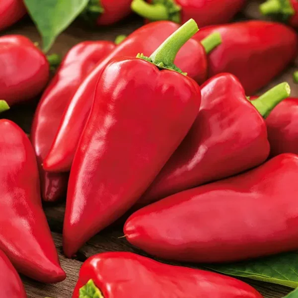 Сладкая паприка Monanta 0,2 г