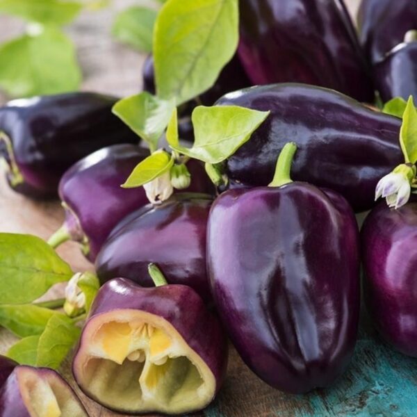 Сладкая паприка Loran 0,3 г