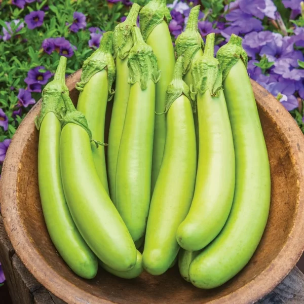 Green Knight 10 семян