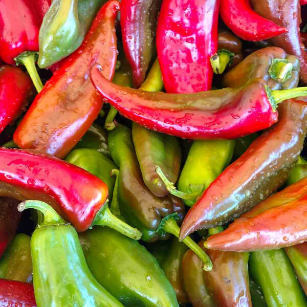 Острая паприка Anaheim Chili 0,1 г