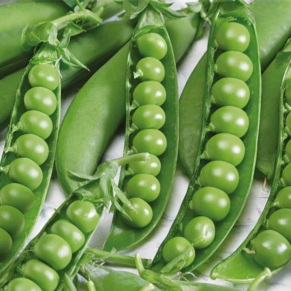 Сахарный горох Dorian 15 г