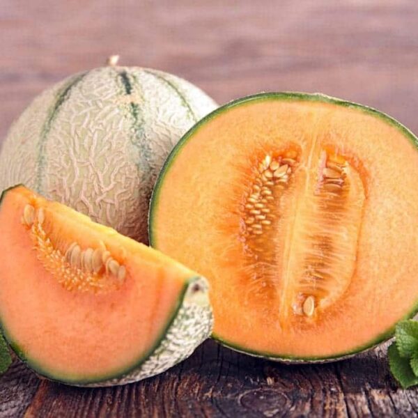 Дыня Bari F1 5 семян