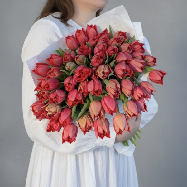 Красные тюльпаны