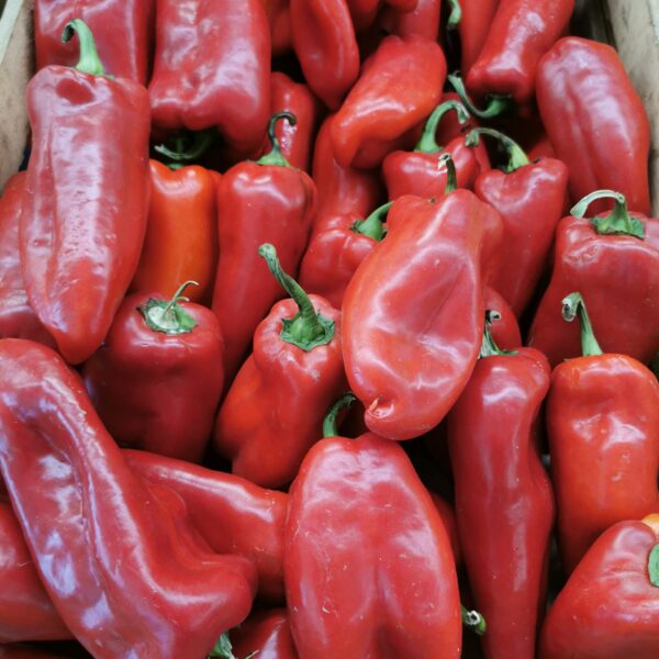 Сладкая паприка Tourmaline 0,2 г