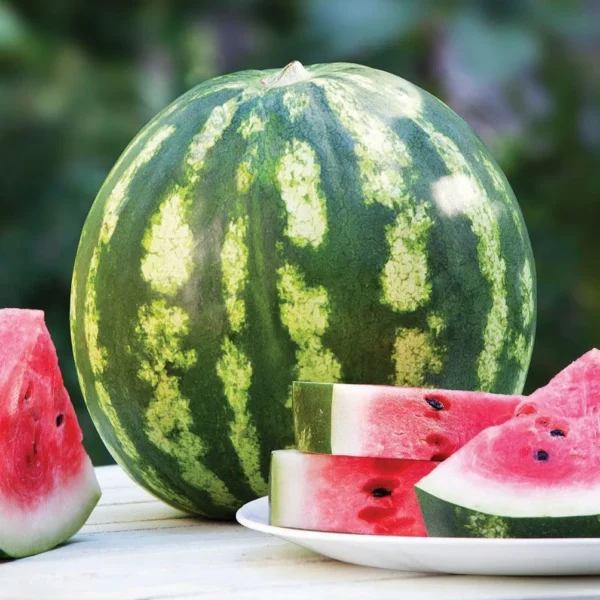 Megacrimson 10 семян