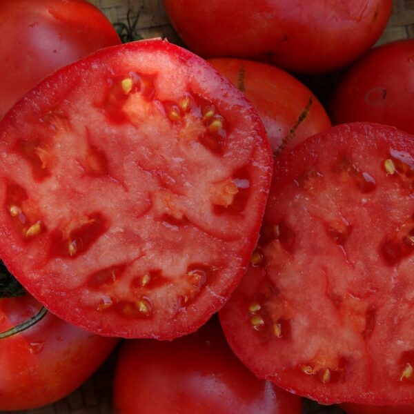 Brooks 10 семян