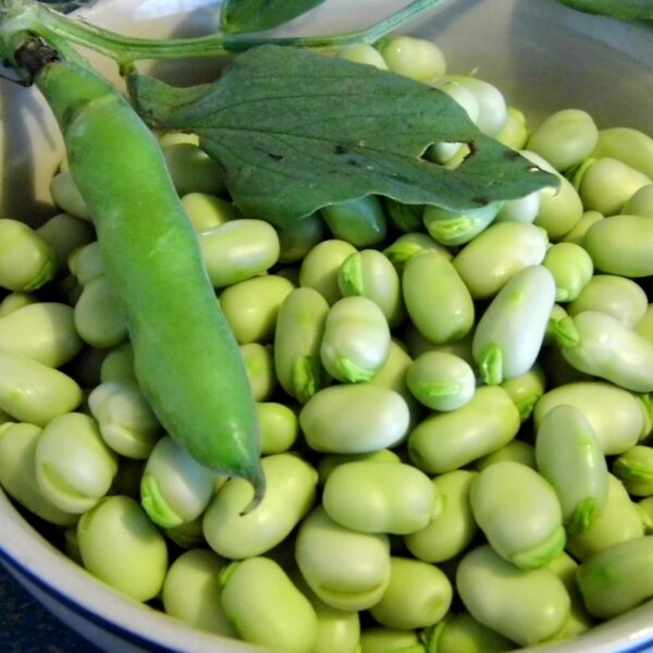 Бобы Aguadulce Supersimonia 10 г