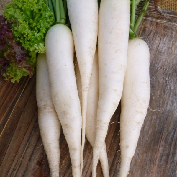 Редис Vodka 3 г