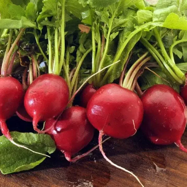 Редис Bel Image на ленте 4 м