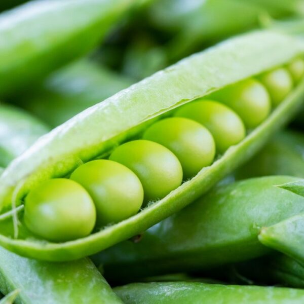 Looming 25 г эстонский сорт