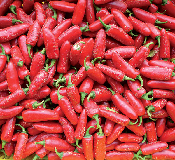 Острая паприка-чили Jalapeno 0,1 г