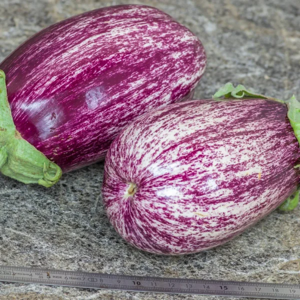 Баклажан Tsakoniki 0,2 г