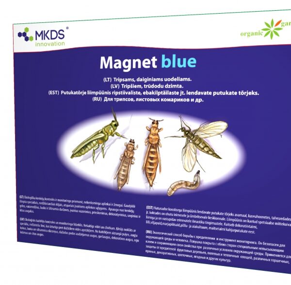 Magnet Blue клеевая ловушка