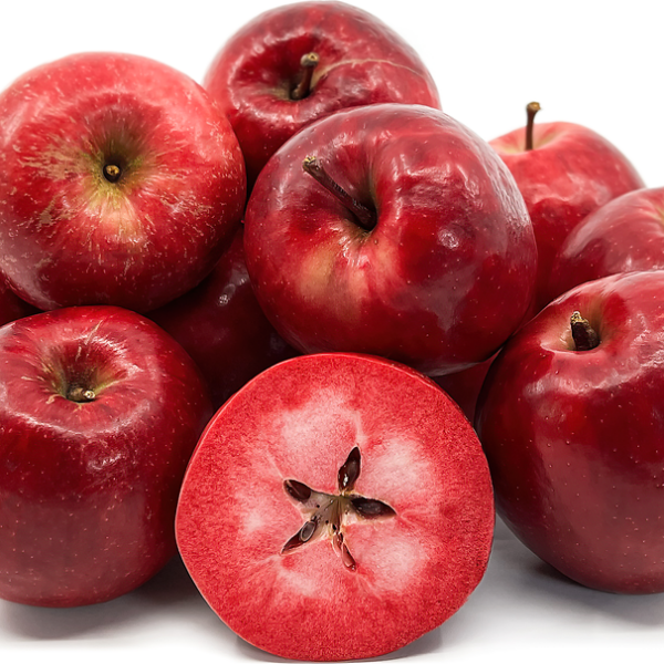 Malus domestica "Red Love"